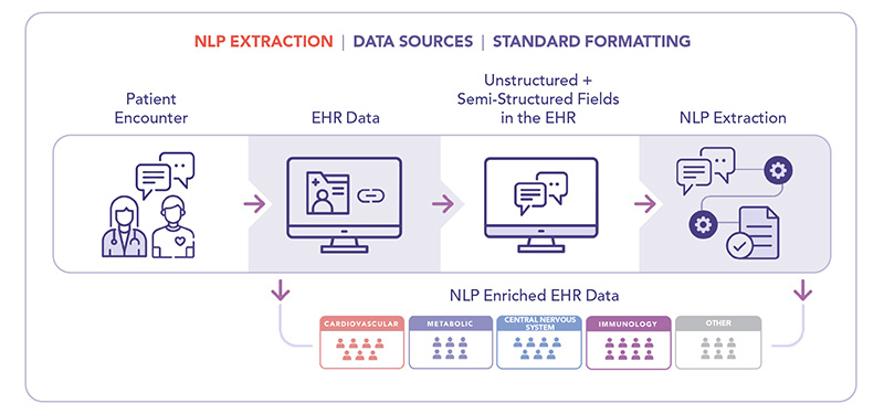 NLP Extraction Diagram